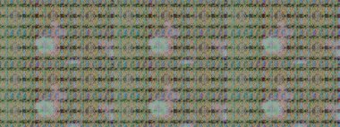 Yaprak ve çiçeklerin suluboya resimleri, tarafsız renklerde çizimler. Raster illüstrasyonu. Tarafsız renklerde bahar çiçekleri..