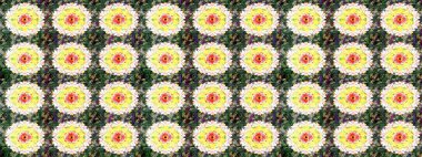 Renkli süs kenarı. Çizim kalıbı. Hint süsü. Raster illüstrasyonu. Çiçek duvar kağıdı. Yeşil ve sarı renklerde.