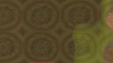 Renkli unsurlarla hareketli arka plan görüntüleri. Çiçekler. Eski model. Bayrak tarzı. Video kaydı. Şablon. Döngü. Kusursuz..