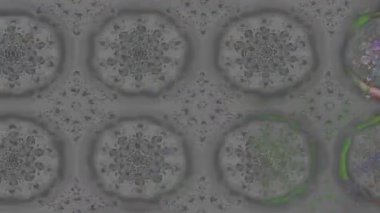 Renkli unsurlarla hareketli arka plan görüntüleri. Çiçekler. Eski model. Bayrak tarzı. Video kaydı. Şablon. Döngü. Kusursuz..