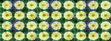 Organik elementler. Suluboya etkisi. Raster deseni. Botanik çizim deseni.