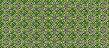 Geleneksel raster ve altın desen. Klasik oryantal desen yeşil, gri ve nötr renklerden önce gelir. Damask pürüzsüz süsü.