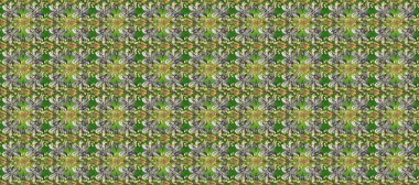 Doğum günü kartı, davetiye ya da afiş için iyidir. Dekoratif simetri arabesk. Altın yeşile, gri ve nötr renklere. Kusursuz ortaçağ çiçek deseni. Raster illüstrasyonu.