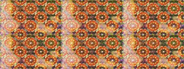 Kahverengi renklerde, altın elementlerle kusursuz desen. Kusursuz altın desenli bukleler. Hassas altın deseni açın. Raster sanatı. Parlak dantel, stilize çiçekler, şal desenli. Doğu tarzı arabesk