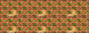 Raster altın çiçek süsü brokar kumaş ve cam desenli. Kusursuz altın desen. Kahverengi renkler ve altın elementler. Çiçek desenli altın metal..