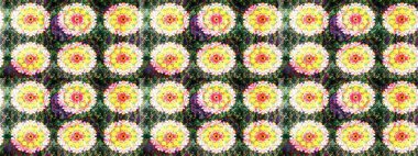 Raster düz çiçek çizim deseni. Sarı ve yeşil renkli çiçekler. Tasarım hediye paketi, tebrik kartları, posterler ve afiş tasarımı.