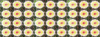 Üst manzara, yumuşak stil. Sevgililer günü ve tebrik kartı konsepti için şık bir davetiye. Çiçek kompozisyonu, el boyası, hassas şablon. Tarafsız ve yeşil renklerde manzaralı çiçek deseni.