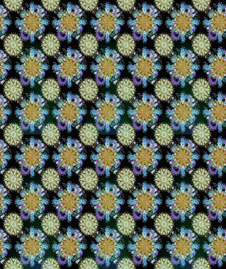 Organik öğeleri. Suluboya efekti. Botanik seamless modeli. Raster desen.