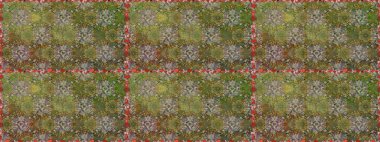 Raster illüstrasyonu. Çiçek ve yapraklı karalama şeklinde Raster çiçek deseni. Yumuşak, bahar çiçekleri kahverengi renklerde.