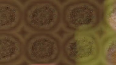 Renkli unsurlarla hareketli arka plan görüntüleri. Çiçekler. Eski model. Bayrak tarzı. Video kaydı. Şablon. Döngü. Kusursuz.. 