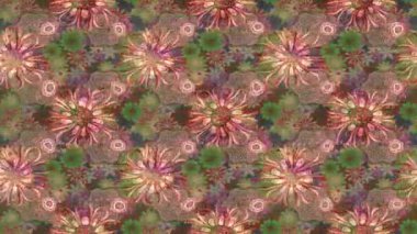 Renkli unsurlarla hareketli arka plan görüntüleri. Çiçekler. Eski model. Bayrak tarzı. Video kaydı. Şablon. Döngü. Kusursuz.. 