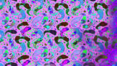 Renkli unsurlarla hareketli arka plan görüntüleri. Çiçekler. Eski model. Bayrak tarzı. Video kaydı. Şablon. Döngü. Kusursuz.. 