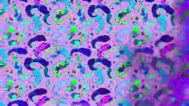 Renkli unsurlarla hareketli arka plan görüntüleri. Çiçekler. Eski model. Bayrak tarzı. Video kaydı. Şablon. Döngü. Kusursuz.. 