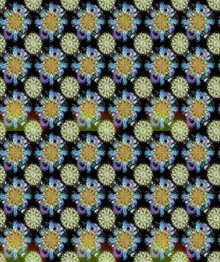 Siyah ve nötr renklerde Asya tekstil tarzında. Raster illüstrasyonu. Kusursuz çiçek deseni.