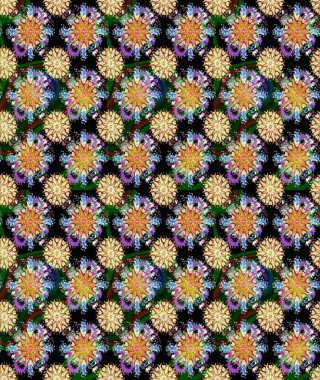 Raster illüstrasyonu. Çiçek. Siyah ve kahverengi renklerde. Kusursuz dekoratif arka plan, çiçek mandala.