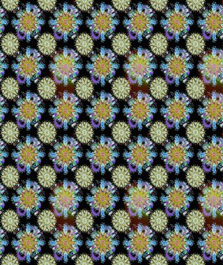 Çiçekli, pürüzsüz bir desen. Raster illüstrasyonu. Yumuşak, bahar çiçekleri siyah ve nötr renklerde. Raster çiçekleri klasik tarzda resmedilir..