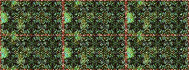 Yeşil renkli ve altın elementli desen. Küçük bir alan derinliği. Kusursuz ahşap oyma. Altın kaplamalı yeşil fon. Oyma. Patina. Lüks mobilyalar. Klasik mobilya stili.