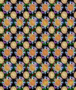 Raster illüstrasyonu. Çiçek. Siyah ve kahverengi renklerde. Kusursuz dekoratif arka plan, çiçek mandala.