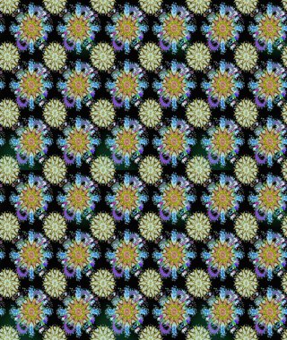 El çizimi. Suluboya çizimi. Siyah ve nötr renklerde çiçekler. Çiçeklerle kusursuz desen.