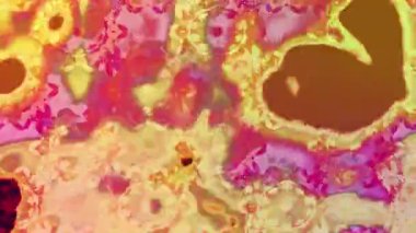 Renkli unsurlarla hareketli arka plan görüntüleri. Çiçekler. Eski model. Bayrak tarzı. Video kaydı. Şablon. Döngü. Kusursuz.. 