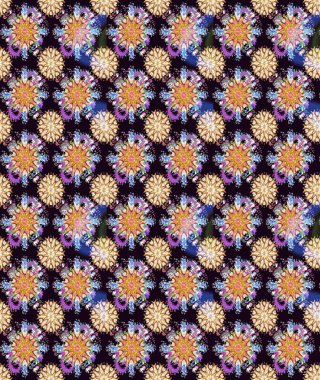 Siyah ve bej renklerde etnik çiçeklerle kusursuz bir desen. Raster Çiçek İllüstrasyonu güzel tekstil..