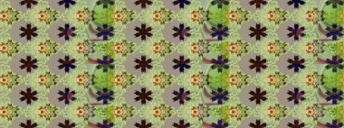 Raster illüstrasyonu. Şirin çiçekli eskiz deseni ve gri ve nötr renklerde yapraklar, suluboya çiçek deseni, duvar kağıdı, kart veya kumaş için fayanslı.