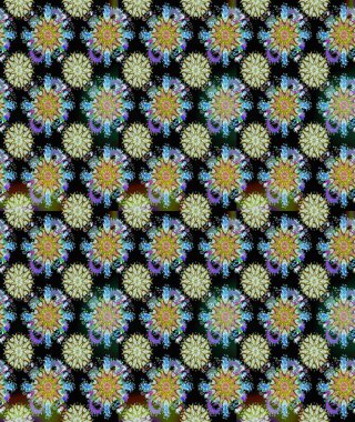 Vadinin çiçekleri siyah ve nötr renklerde. Suluboya, elle çizilmiş. Kusursuz bir arka plan modeli. Raster - stok.