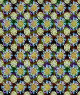 Sihirli süper şirin soyut ve güzel bir resim. Soyut süper sevimli ve ilginç bir resim.