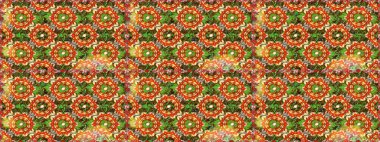 Sihirli süper şirin soyut ve güzel bir resim. Soyut süper sevimli ve ilginç bir resim.