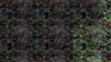 Renkli unsurlarla hareketli arka plan görüntüleri. Çiçekler. Eski model. Bayrak tarzı. Video kaydı. Şablon. Döngü. Kusursuz.. 