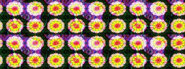 Renkli Bahar Temalı Kusursuz Arkaplan. Düz Çiçek Elementleri Tasarımı. Çiçekli, kusursuz bir arkaplan. Çocuk stili.