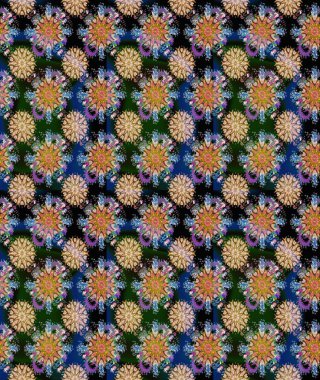 Zarif, parlak ve kusursuz mavi ve siyah çiçek desenli tasarım. Sabıka baskıları, bebek kıyafetleri, duvar kâğıtları, paket kutuları vb..