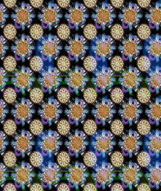 Siyah ve mavi lale çiçekli, pürüzsüz bir desen. Doğal kozmetik ürünleri, parfüm, çiçekçi dükkanı için bahar ihalesi tasarımı. Paket kağıdı için en iyisi. Karşılama ya da düğün geçmişi olarak kullanılabilir.