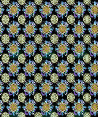 Siyah ve nötr renklerde manzaralı çiçek deseni. Üst manzara, yumuşak stil. Çiçek kompozisyonu, el boyası, hassas şablon. Sevgililer günü ve tebrik kartı konsepti için şık bir davet.