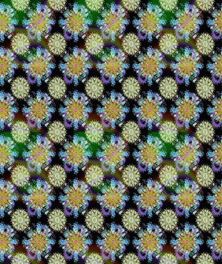 Çiçeklerle suluboya desenli çiçek deseni. Raster illüstrasyonu. Tarafsız ve siyah renkler üzerine güzel tekstil.