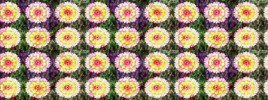 Raster suluboya çiçek deseni, narin çiçekler, yeşil ve sarı çiçekler, tebrik kartı şablonu. Güzel kumaş deseni.