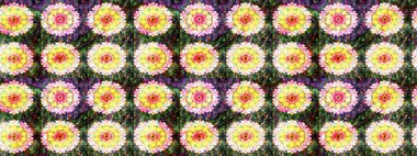 Raster deseni. Küçük çiçekteki sevimli çiçek deseni. Sarı ve nötr renklerde. Soyut çiçek çizim kalıbı arka planı. Raster illüstrasyonu.