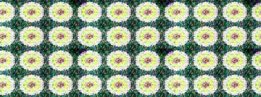 Hediye ambalaj kağıdı, tebrik kartları, posterler ve pankart tasarımı. Tarafsız ve yeşil renklerde çiçekler. Raster düz çiçek çizim deseni.