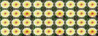 Nazik, narin çiçek arkaplanı. Çiçekli karalama şeklinde Raster çiçek deseni. Yeşil ve sarı renkte çiçekler.