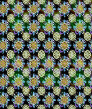 Küçük çiçekte hoş bir çiçek deseni var. Çiçeksel elementlerle süslenmiş zarif raster dokusu. Tarafsız ve parlak çiçekli siyah renkler üzerinde soyut ve pürüzsüz desen.