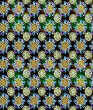 Küçük çiçekte hoş bir çiçek deseni var. Çiçeksel elementlerle süslenmiş zarif raster dokusu. Tarafsız ve parlak çiçekli siyah renkler üzerinde soyut ve pürüzsüz desen.