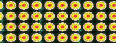 Düz Çiçek Elementleri Tasarımı. Sarı ve yeşil renkli çiçekler. Renkli Bahar Teması eskiz kalıbı. Raster illüstrasyonunda çiçek deseni çizimi.