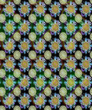 Elle boyanmış suluboya, dikişsiz çiçekler ve bitkiler. Tarafsız ve siyah renkte çiçekler.