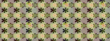 Eskiz Vintage Çiçek Deseni. Raster Kalça dokusu deseni.