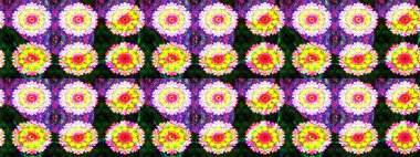 Paket kağıdı için en iyisi. Karşılama ya da düğün geçmişi olarak kullanılabilir. Sarı ve nötr lale çiçekleriyle Raster eskiz deseni. Doğal kozmetik ürünleri, parfüm, çiçekçi dükkanı için bahar ihalesi tasarımı.