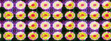 Paket kağıdı için en iyisi. Karşılama ya da düğün geçmişi olarak kullanılabilir. Sarı ve nötr lale çiçekleriyle Raster eskiz deseni. Doğal kozmetik ürünleri, parfüm, çiçekçi dükkanı için bahar ihalesi tasarımı.