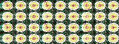 Düz Çiçek Elementleri Tasarımı. Raster illüstrasyonu. Renkli Bahar Teması eskiz kalıbı. Yeşil ve nötr renklerde çiçekler. Çiçekli çiçek deseni, suluboya..