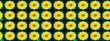 Çiçekli karalama şeklinde Raster çiçek deseni. Sarı ve yeşil renkli çiçekler. Yumuşak, bahar çiçekli arka plan.