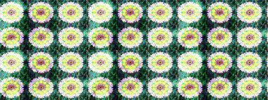 Küçük çiçekte güzel bir çiçek deseni var. Raster deseni. Çiçekli çiçek deseni, suluboya..