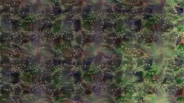 Renkli unsurlarla hareketli arka plan görüntüleri. Çiçekler. Eski model. Bayrak tarzı. Video kaydı. Şablon. Döngü. Kusursuz.. 